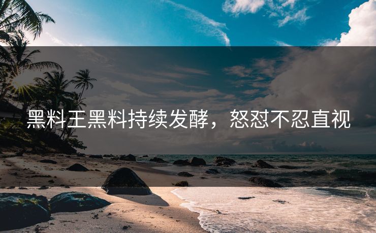 黑料王黑料持续发酵，怒怼不忍直视