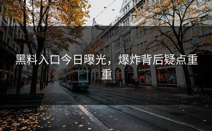 黑料入口今日曝光，爆炸背后疑点重重
