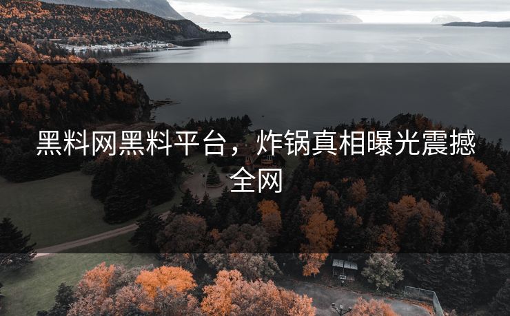 黑料网黑料平台，炸锅真相曝光震撼全网