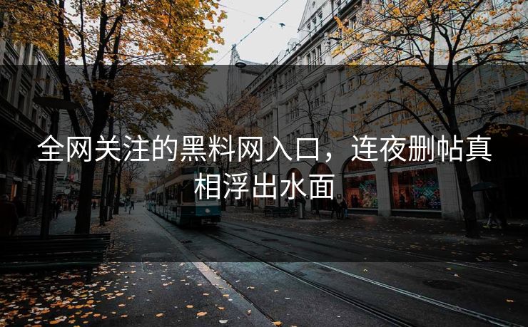 全网关注的黑料网入口，连夜删帖真相浮出水面