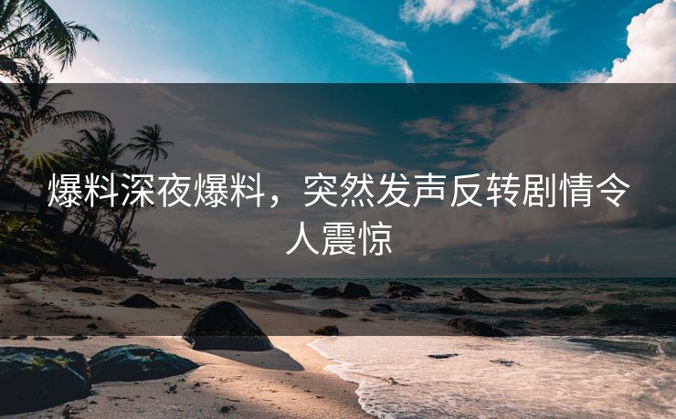 爆料深夜爆料，突然发声反转剧情令人震惊