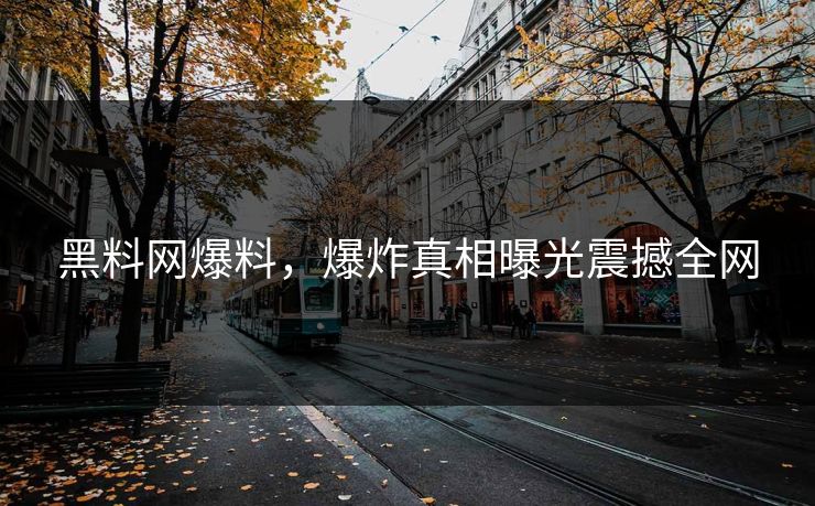 黑料网爆料，爆炸真相曝光震撼全网