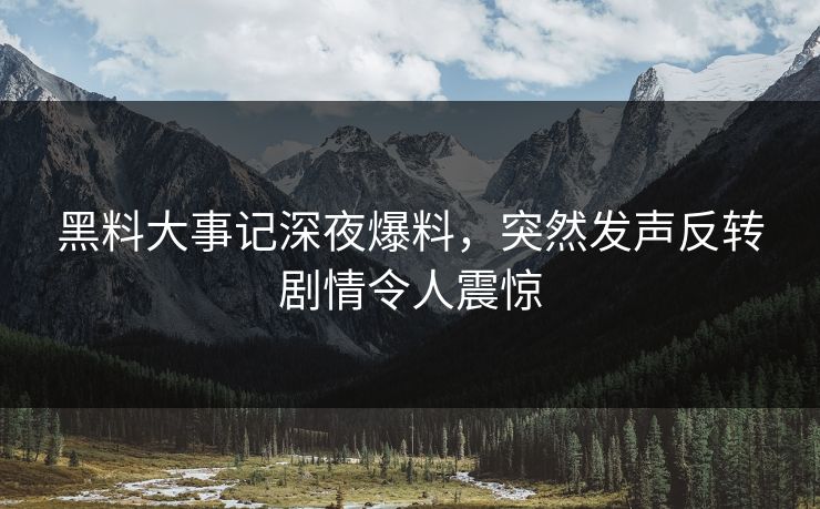 黑料大事记深夜爆料，突然发声反转剧情令人震惊