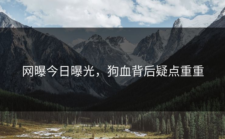 网曝今日曝光，狗血背后疑点重重