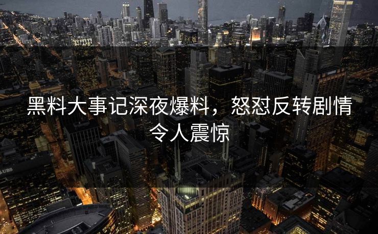 黑料大事记深夜爆料，怒怼反转剧情令人震惊