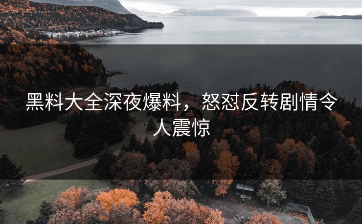 黑料大全深夜爆料，怒怼反转剧情令人震惊