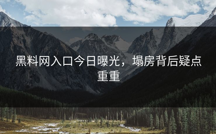 黑料网入口今日曝光，塌房背后疑点重重