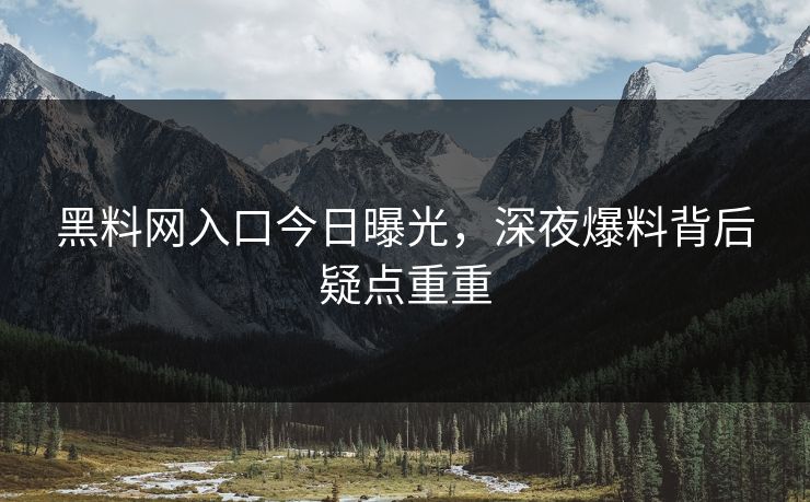 黑料网入口今日曝光，深夜爆料背后疑点重重