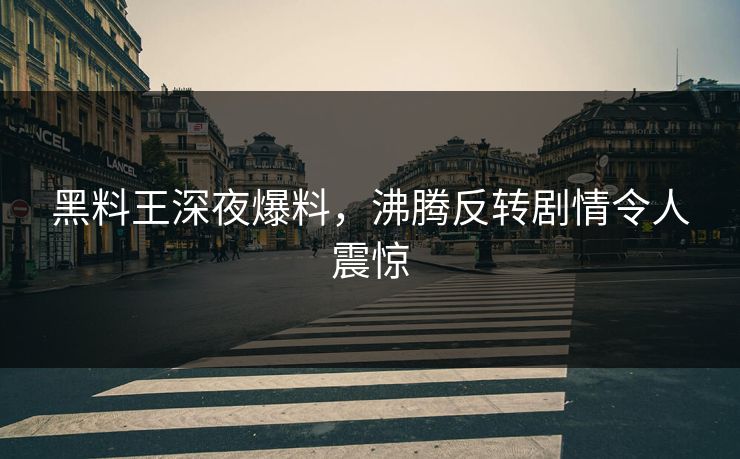 黑料王深夜爆料，沸腾反转剧情令人震惊
