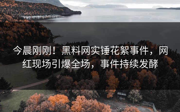 今晨刚刚！黑料网实锤花絮事件，网红现场引爆全场，事件持续发酵