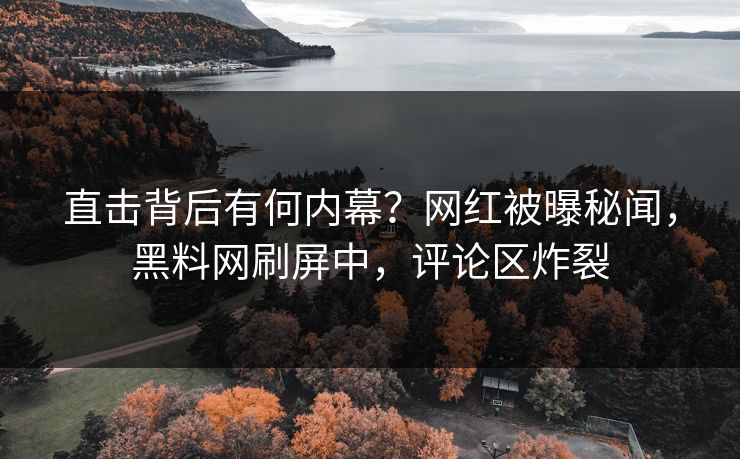 直击背后有何内幕？网红被曝秘闻，黑料网刷屏中，评论区炸裂