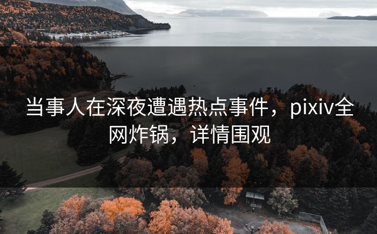 当事人在深夜遭遇热点事件，pixiv全网炸锅，详情围观