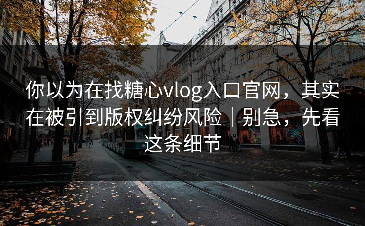 你以为在找糖心vlog入口官网，其实在被引到版权纠纷风险｜别急，先看这条细节
