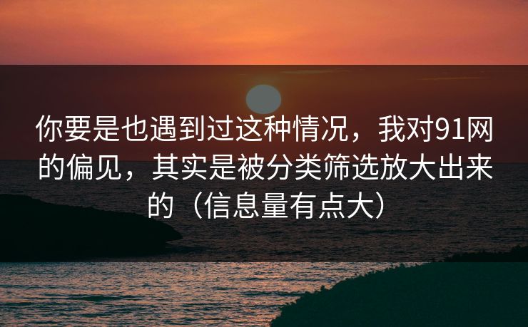 你要是也遇到过这种情况，我对91网的偏见，其实是被分类筛选放大出来的（信息量有点大）